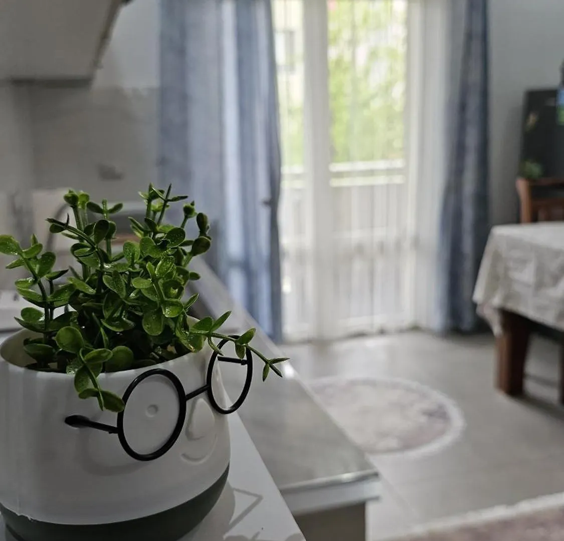 Apartament Parruca Shkoder